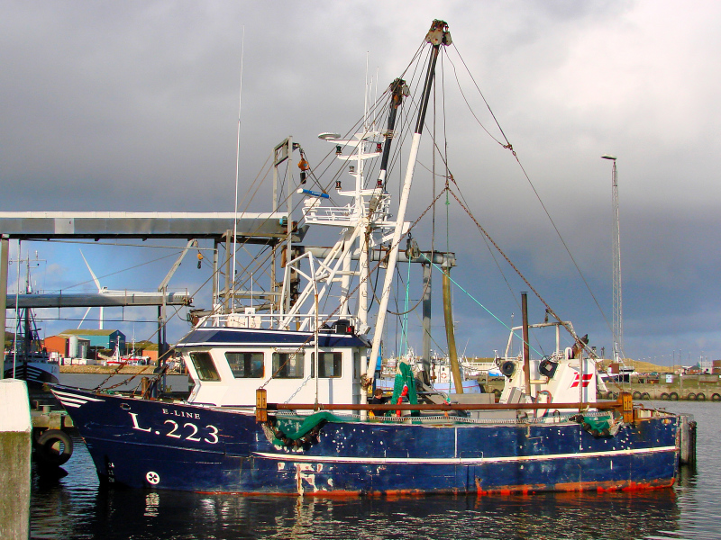 L220 AGNETE VIGGO
