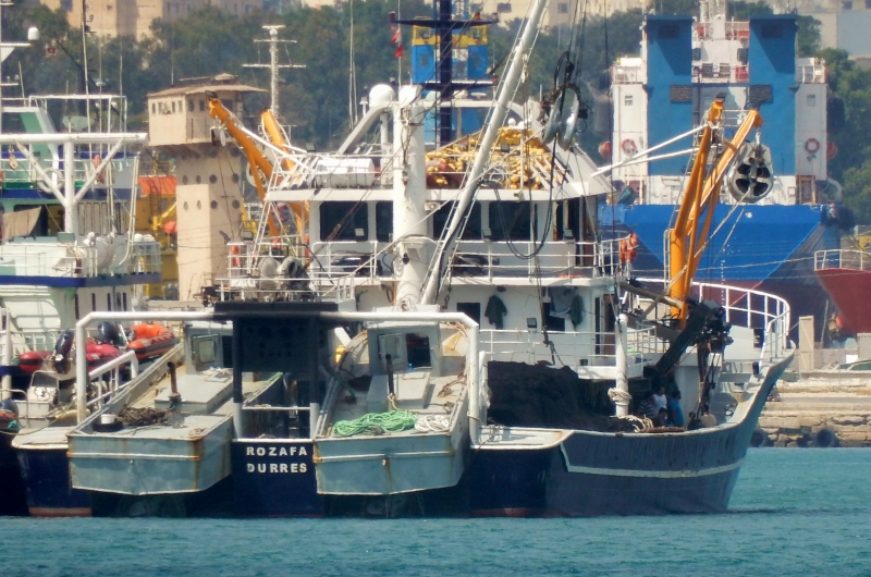 ROZAFA15