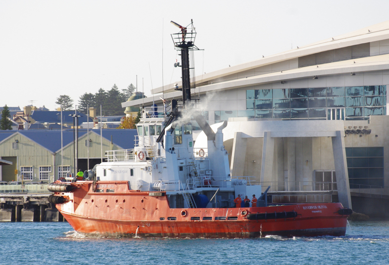 SVITZER OLIVIA