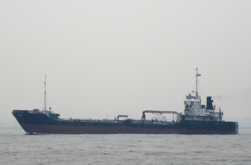 TEGUH 9