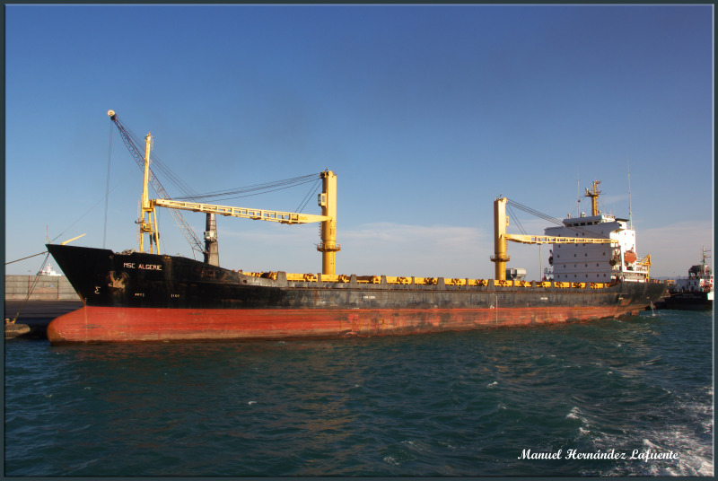 MSC ALGERIE