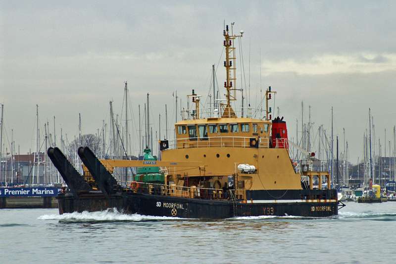 SD MOORFOWL