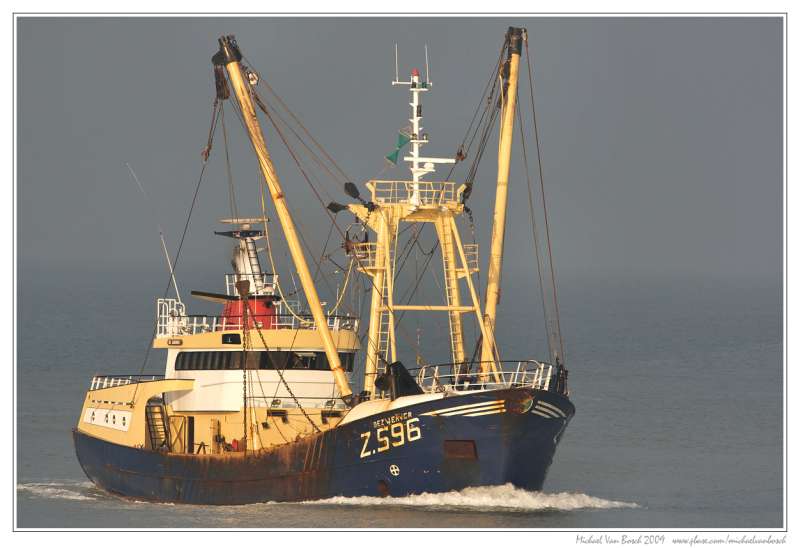 Z115 ANTJE DE VRIES