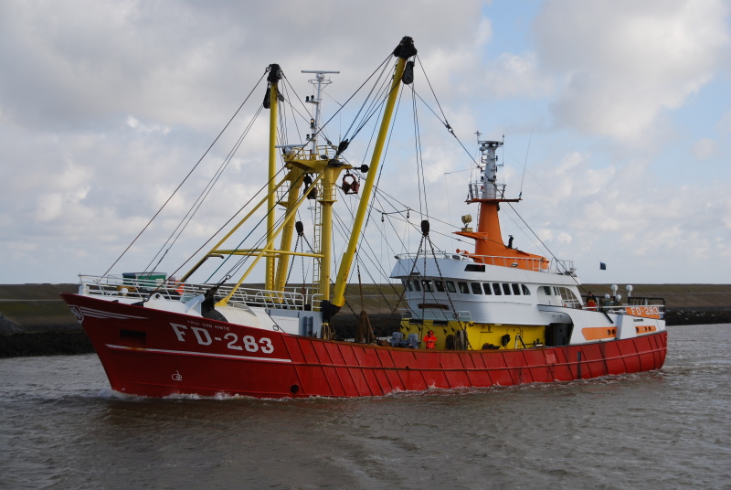 FD283 TRUI UAN HINTE