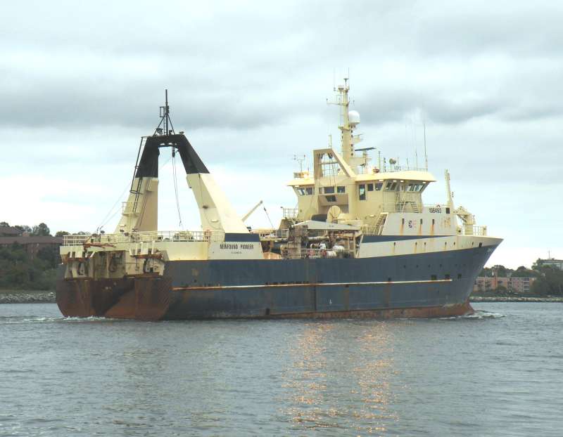 DORADO 2