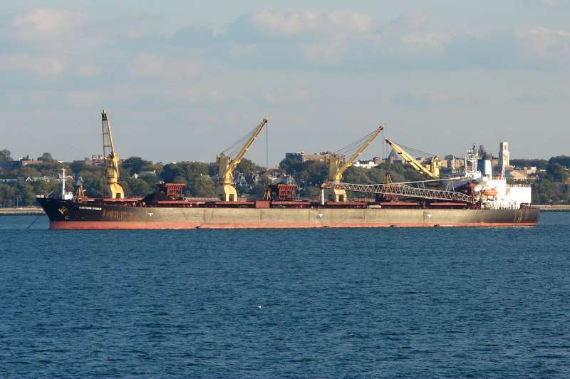 INTER STEVEDORING 8
