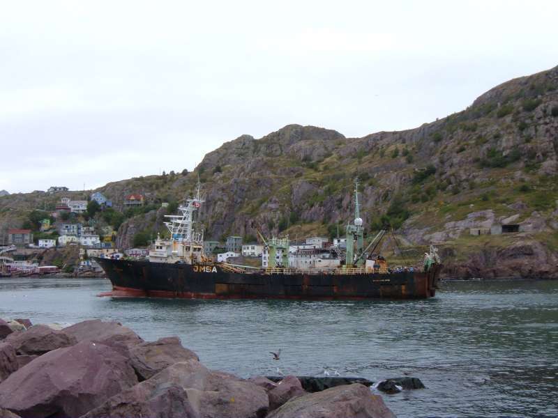 CAROLINA 77
