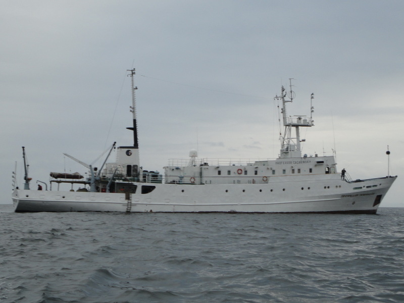 Судно гагаринский. Профессор гагаринский. Нис профессор логачев. Профессор рябинкин судно. Профессор гагаринский научно-исследовательское судно.