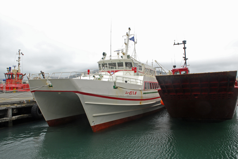 SEASURVEYOR