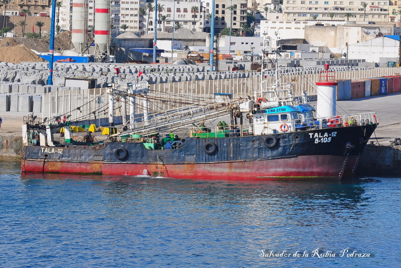 TALA - 12