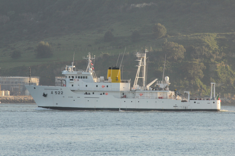 NRP D CARLOS I - Research