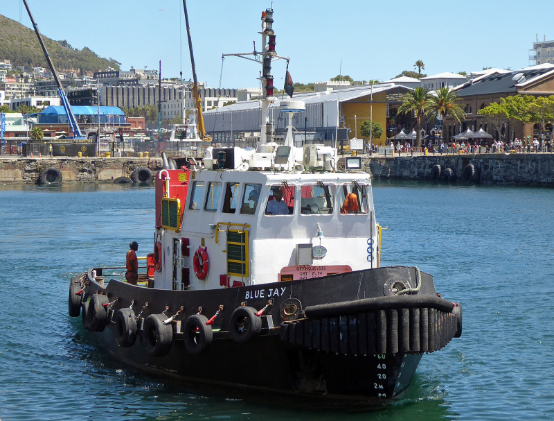 MV BLUE JAY