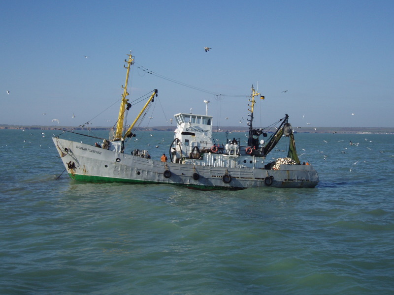 KAPITAN GORBENKO