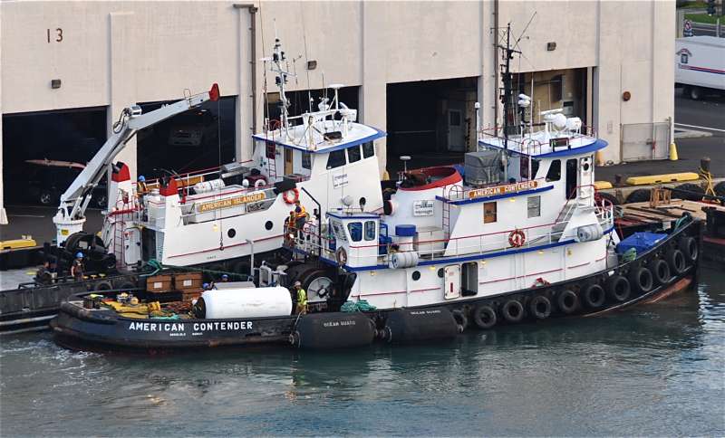 Image of AMERICAN CONTENDER
