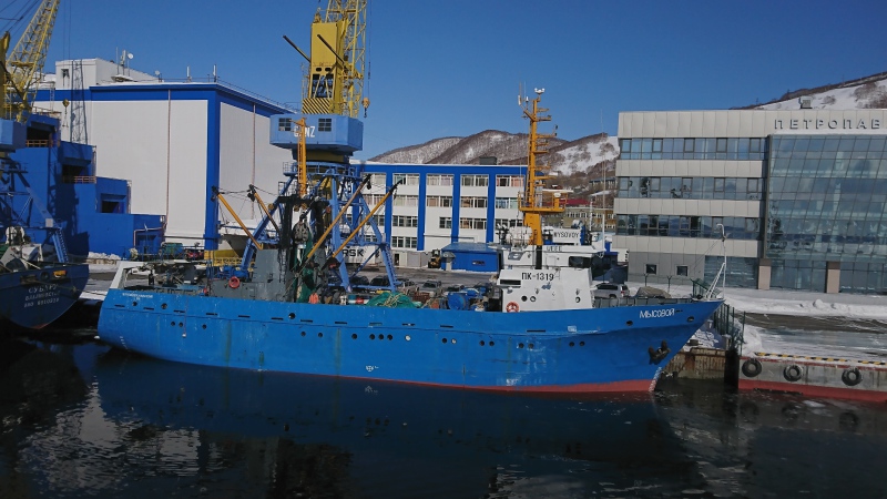 MYSOVOY