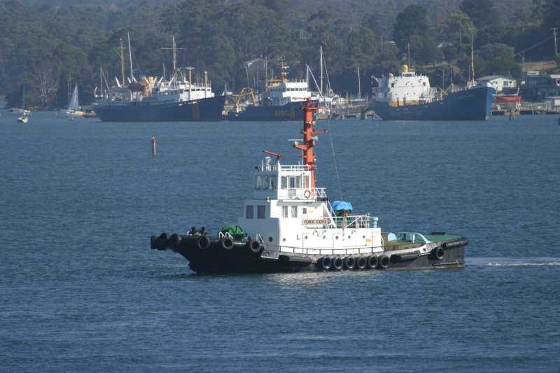 YORK COVE