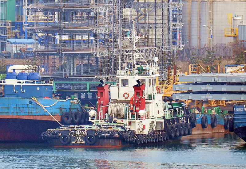 KO RYO 307 HO