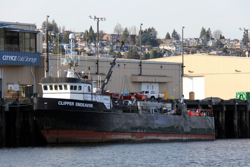 CLIPPER_ENDEAVOR