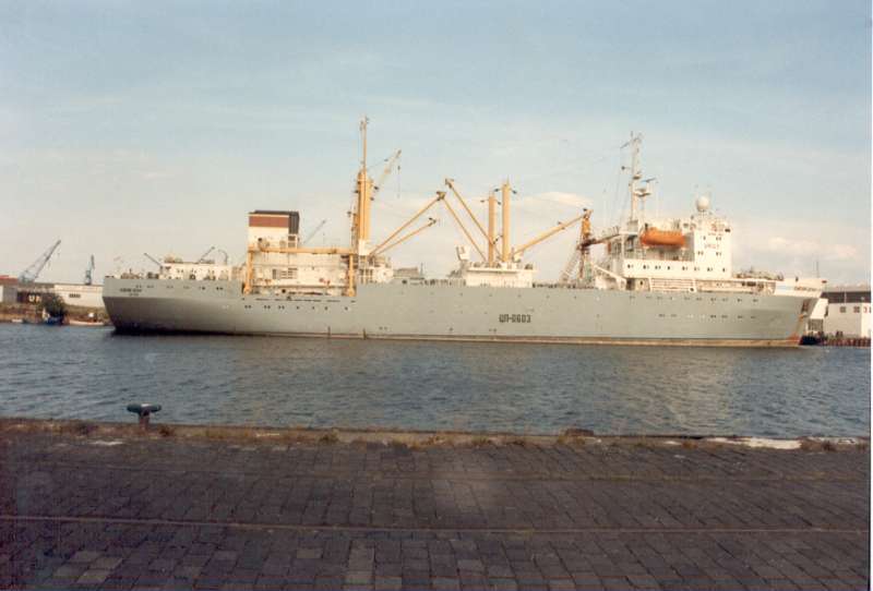 DALMOS