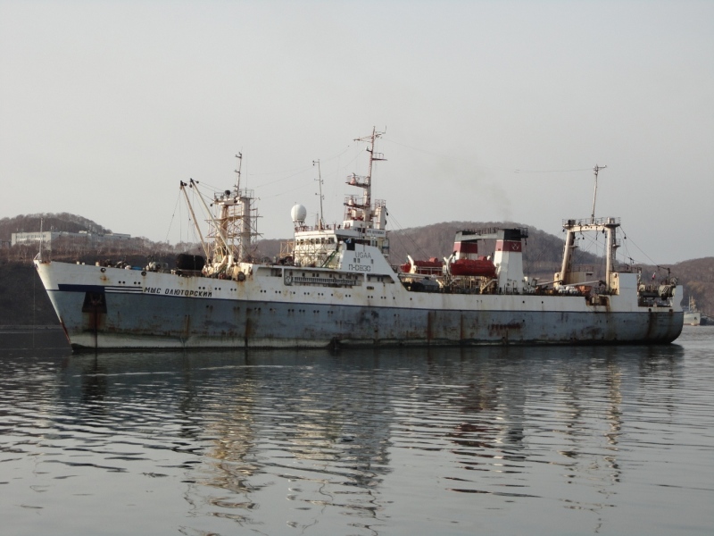 MYS OLYUTORSKIY