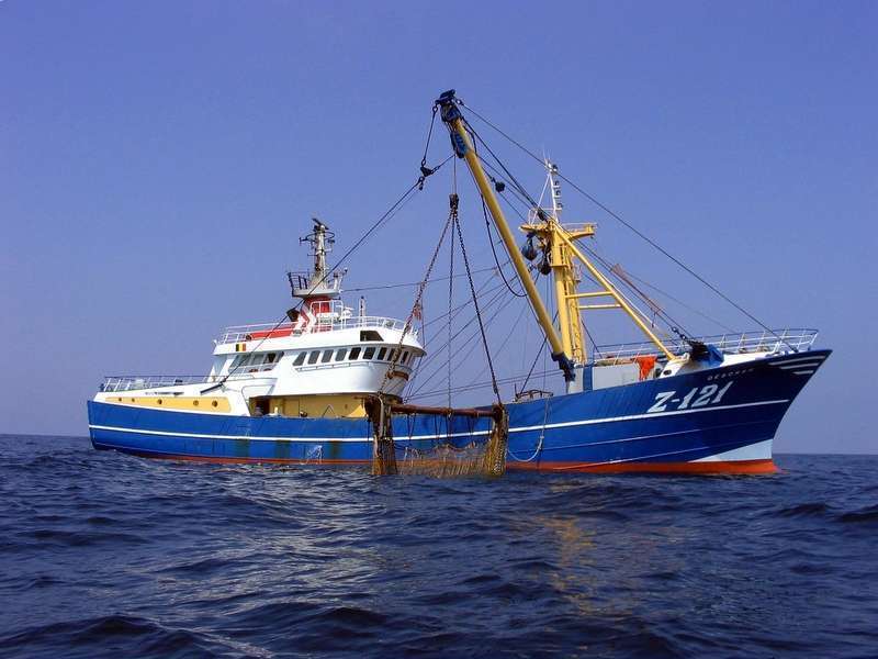 MFV DEBORAH