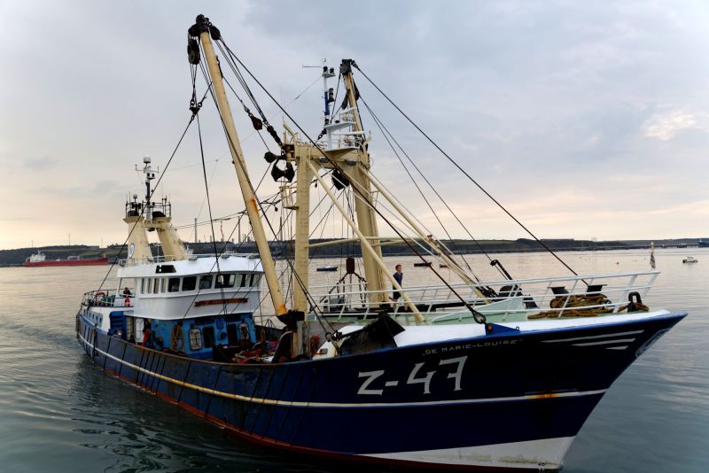 Z47 DE MARIE LOUISE