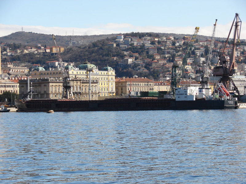 VOLZHSKIY-50