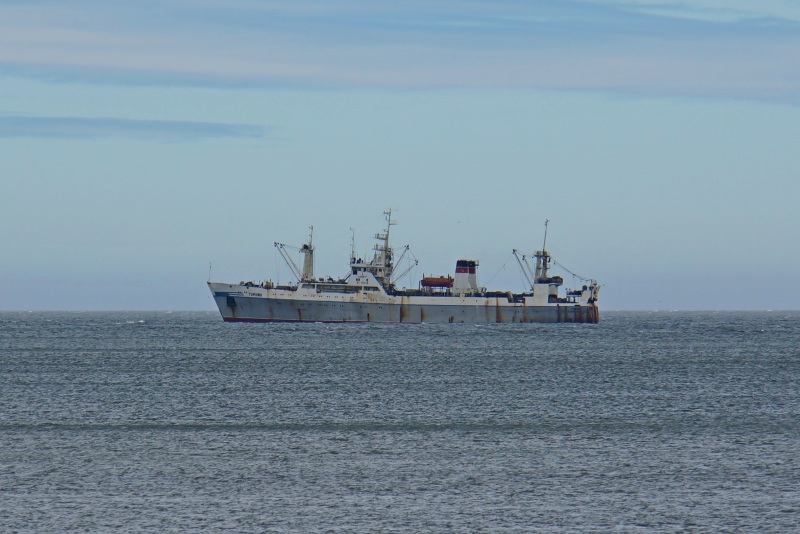 TUMNIN