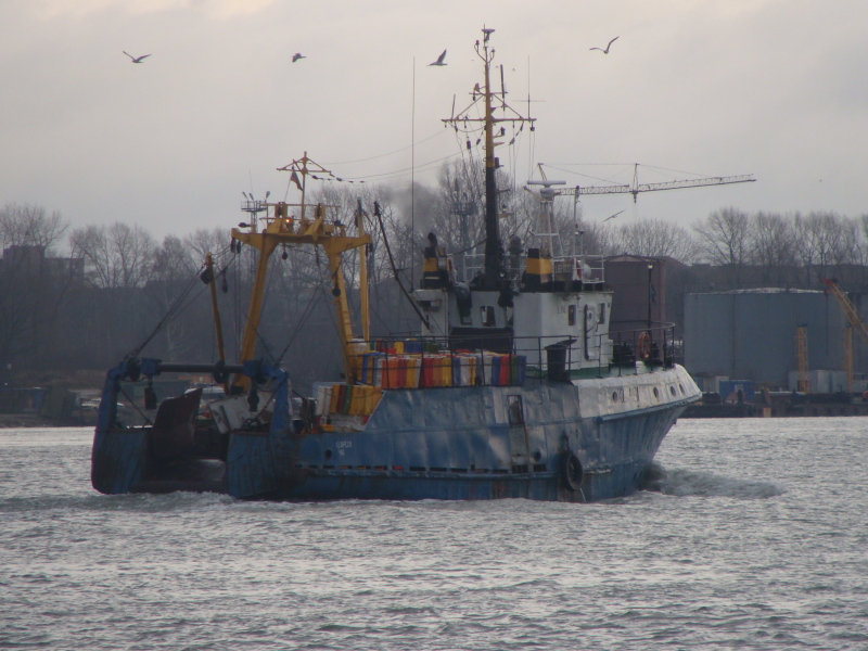 ALBATROSS 2