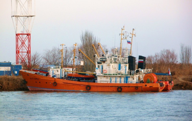 ELSHAN ABBASOV