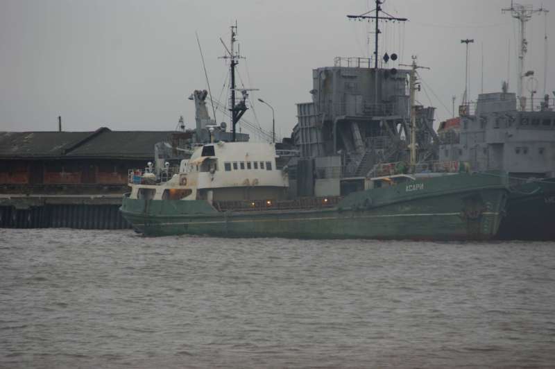 OTTILIA