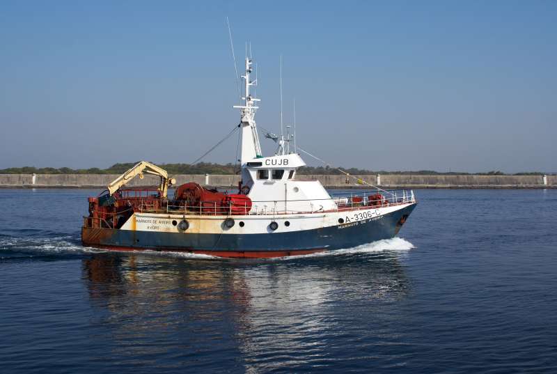 MARNOTO DE AVEIRO