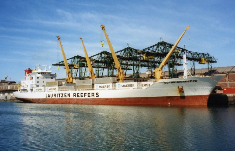 WELLINGTON STAR