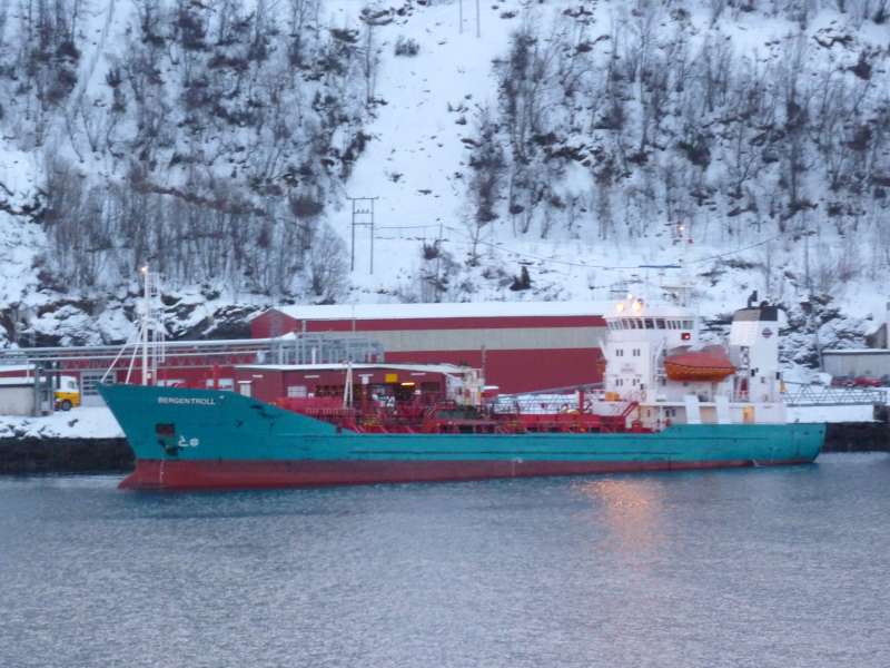 BERGEN T