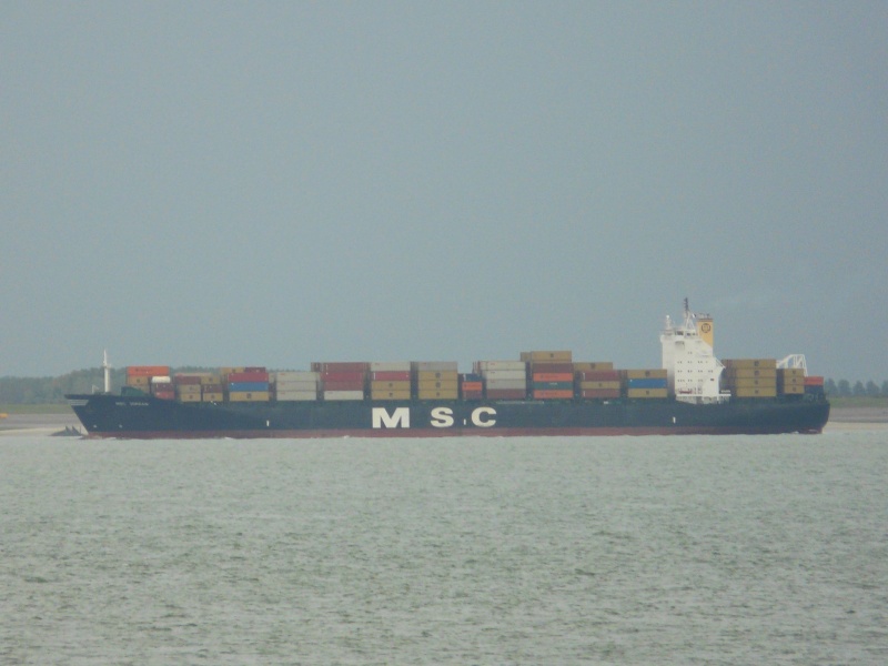 MSC JORDAN III