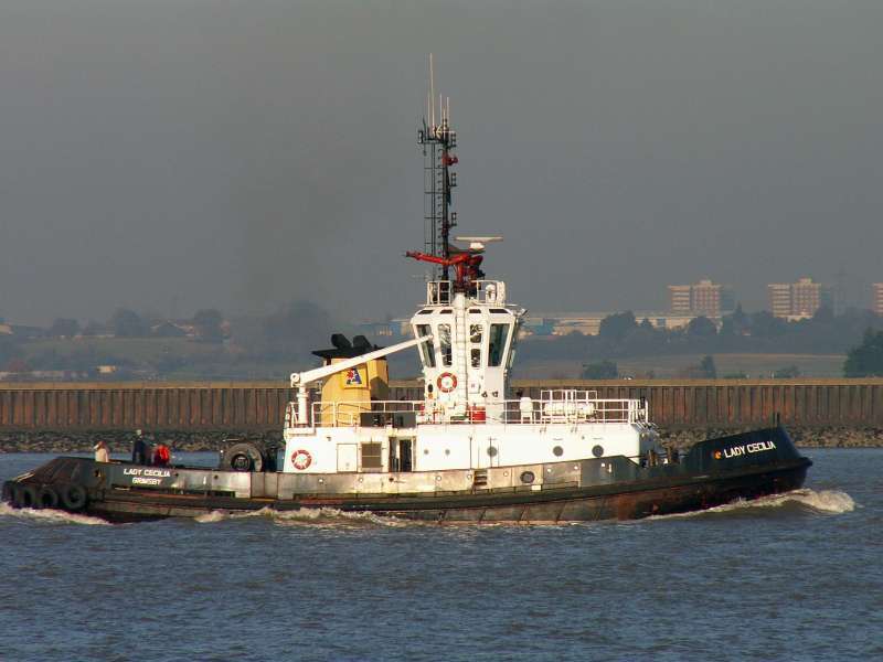 SVITZER CECILIA