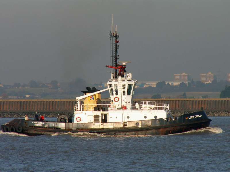 Image of SVITZER CECILIA