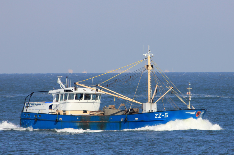 YE257 SOLI DEOGLORIA