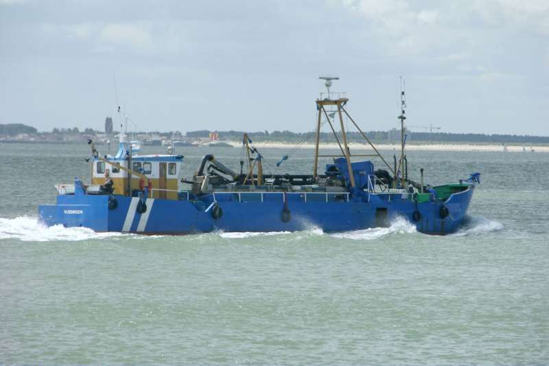 BLUE FIN