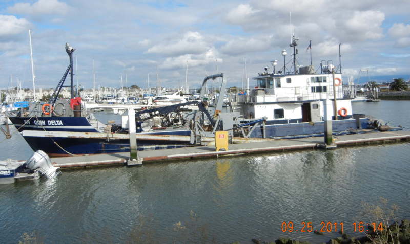 QUIN DELTA