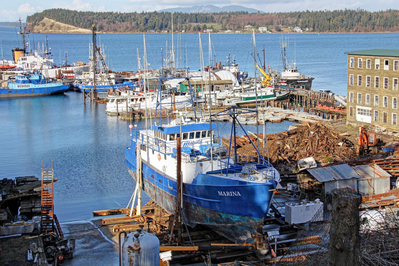 MARINA