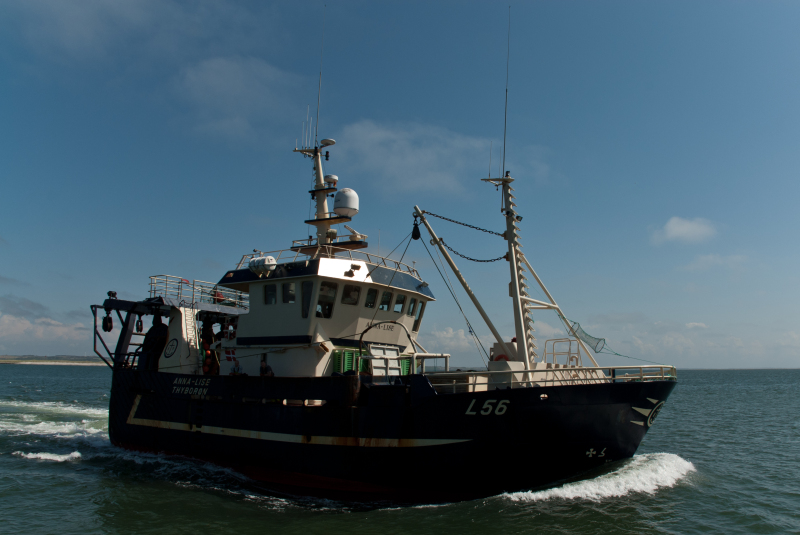 L56 ANNA LISE