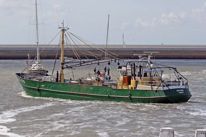 YE-270 JOHANNES