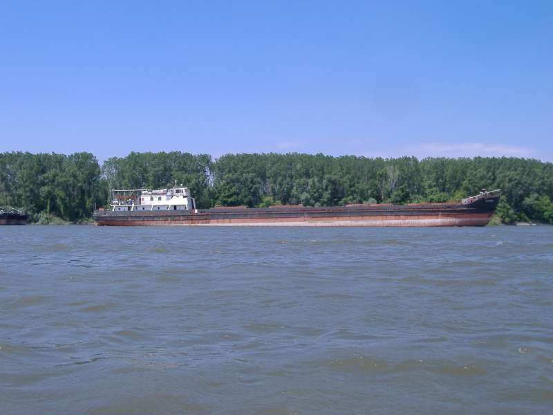 NAVASHINO