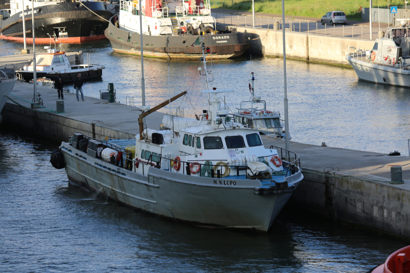 MV GULF SAFER