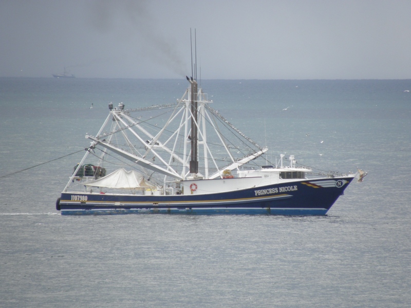 CAPT JOHNNY II