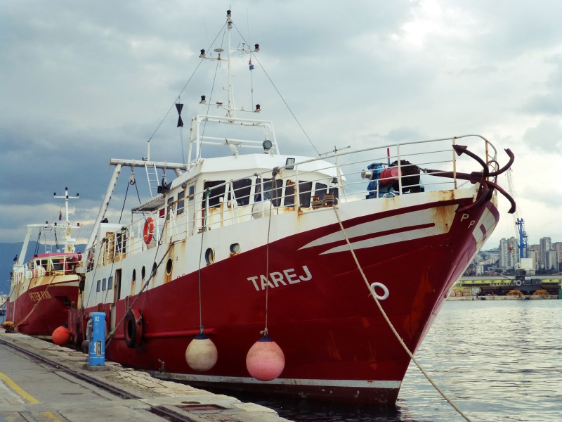 TAREJ