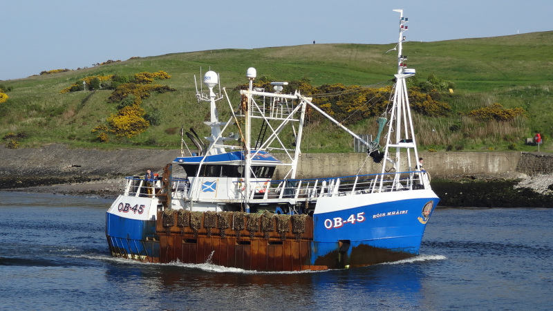 ROIS MHAIRI