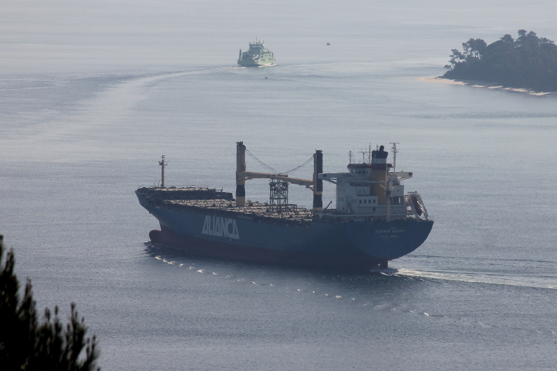 Image of MSC JENNY II