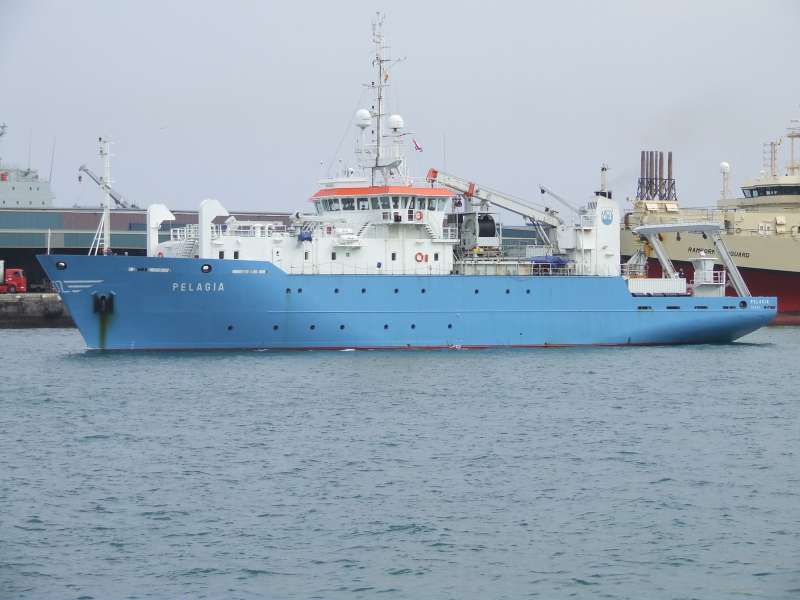 PELAGIA